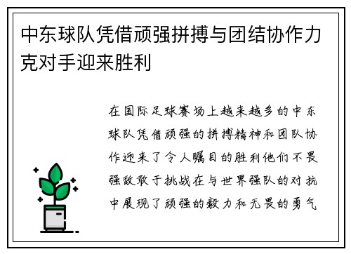 中东球队凭借顽强拼搏与团结协作力克对手迎来胜利